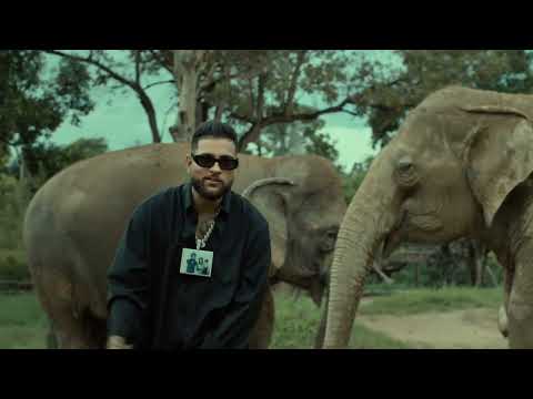 48 Rhymes Lyrics English Translation – Karan Aujla