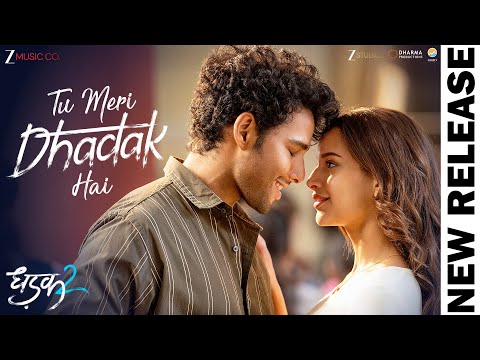 Tu Meri Dhadak Hai Lyrics English Translation - Dhadak 2