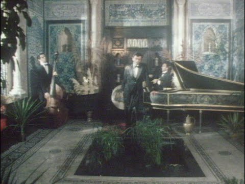 Golden Brown Lyrics - The Stranglers