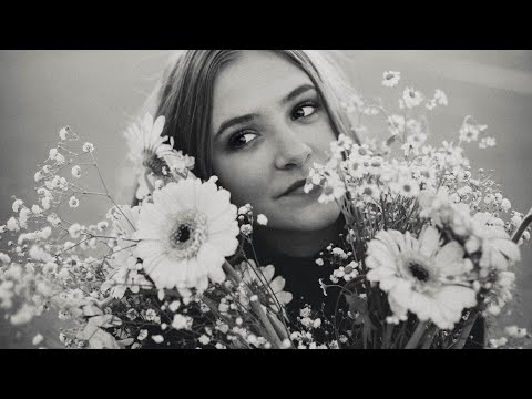 La Vie En Rose Lyrics in English - Emily Watts